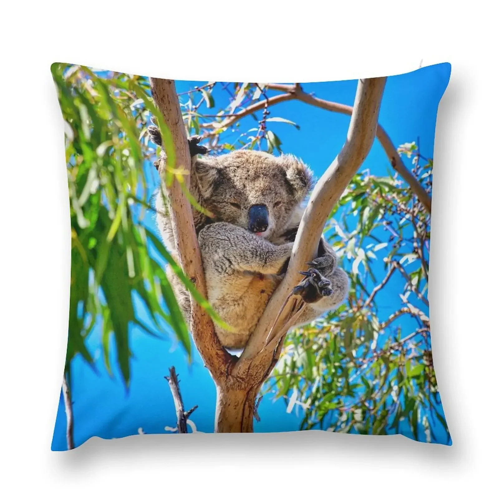 Lovely Australian Koala Bear Throw Pillow ornamental pillows Pillow Case Pillow Cases