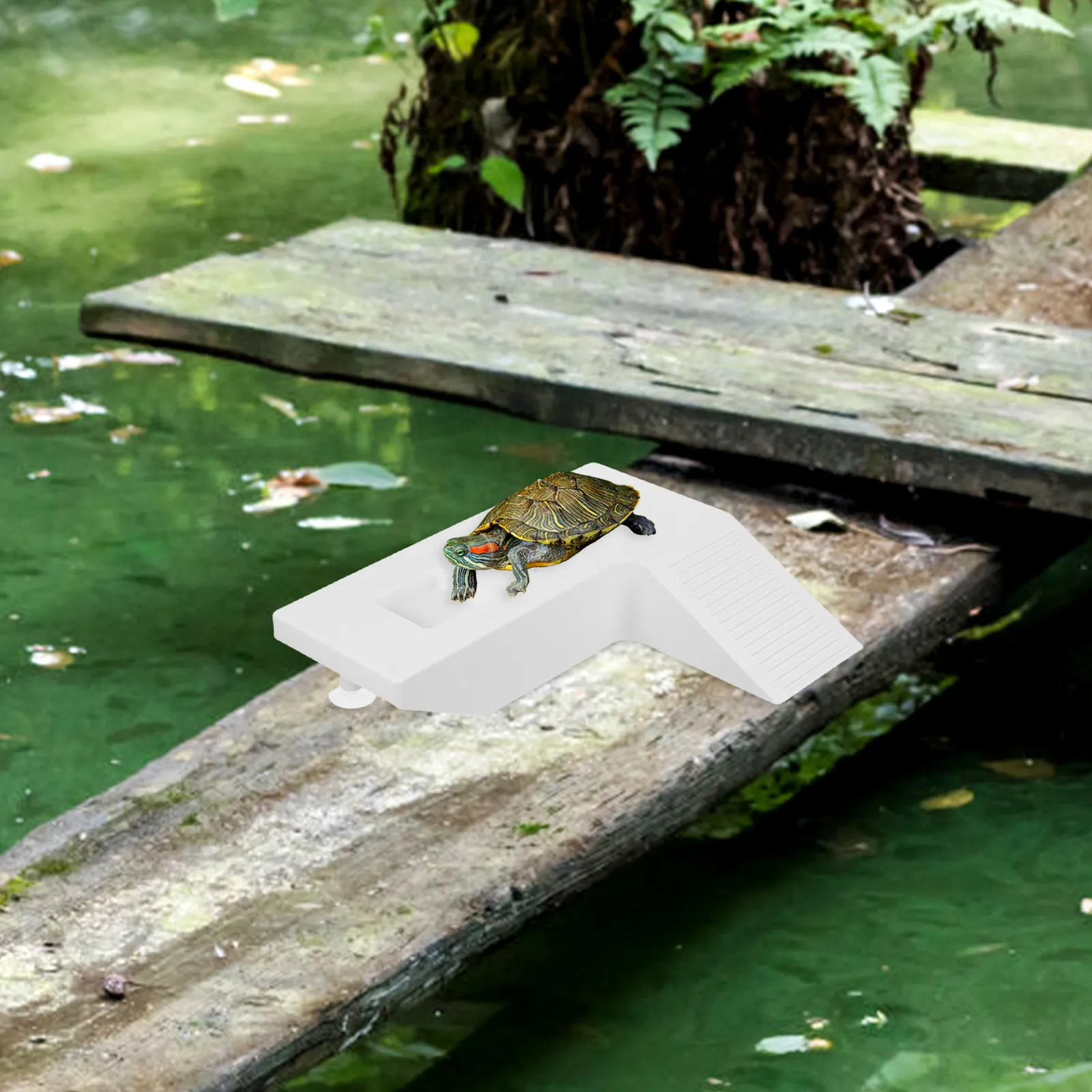 Turtle Basking Platform Aquatic Turtle Habitat Ramp with Natural-Looking Terrace Design for Easy Climbing Sunlight Exposure and