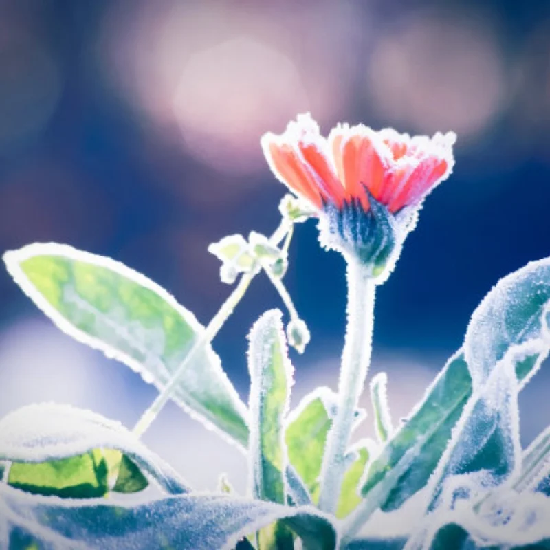 

4pcs 68mm Rally Tires Rubber Tire Wheel Tyre for Tamiya XV01 XV02 TT01 TT02 PTG-2 1/10 RC Rally Racing Car Upgrade Parts