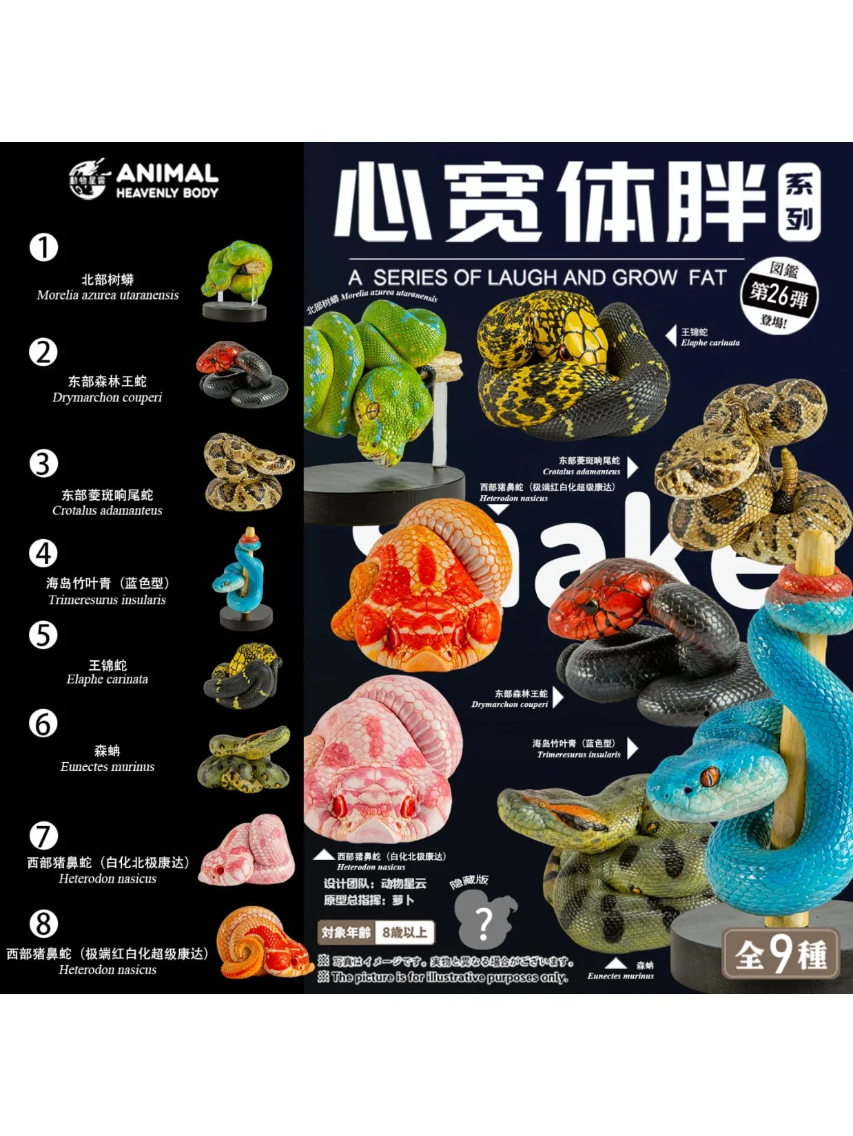 ANIMAL HEAVENLY BODY Studio Nr. 26 Schlangenmodell 4.0: Nordischer Baumpython, Inselstichschlange, Arktischer Conda – Sammlerstück für die Szenerie