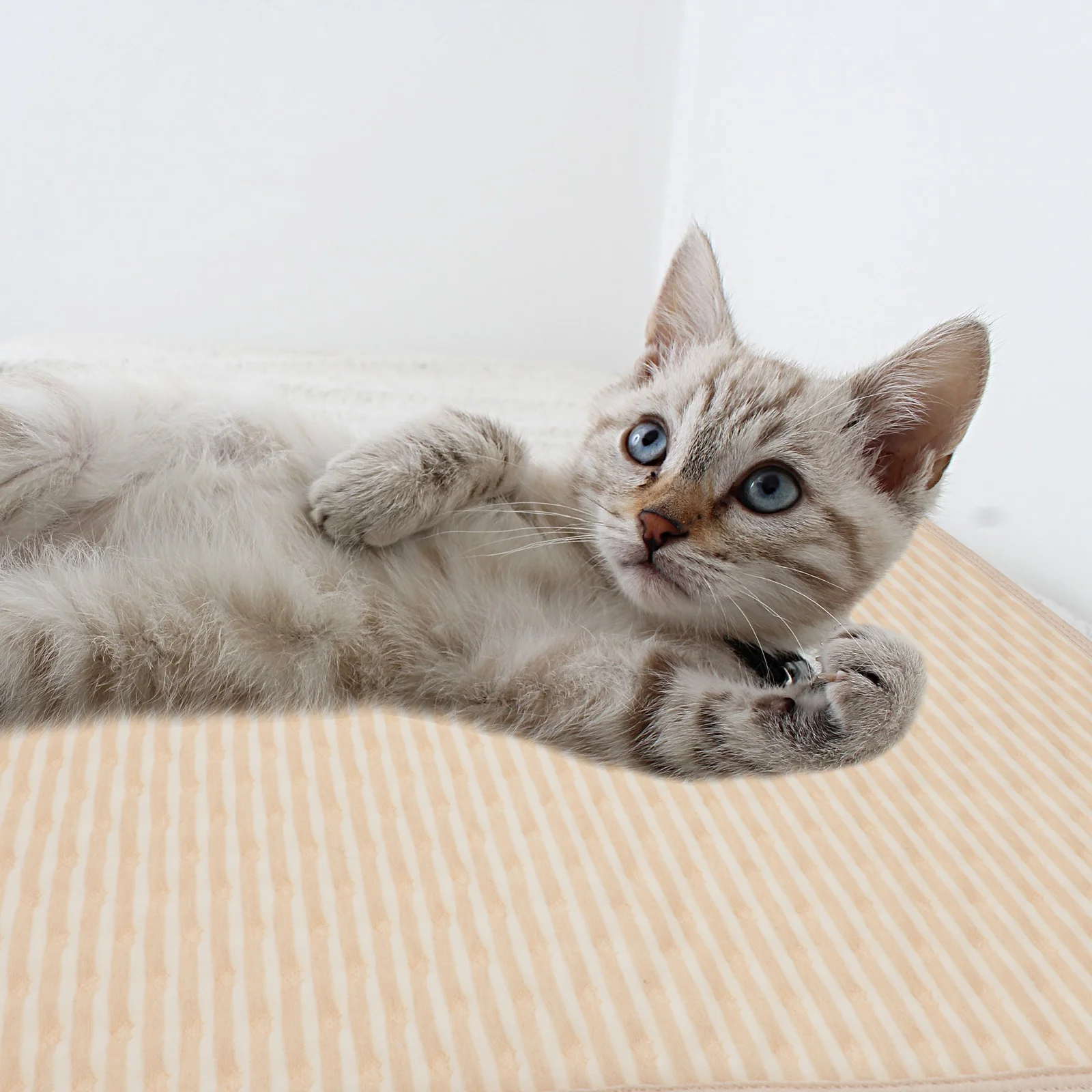 

2pcs Waterproof Pet Pee Pad 30X45Cm Washable Reusable Puppy Training Mat For Dogs Cats Absorbent Indoor Outdoor Travel Cage Car