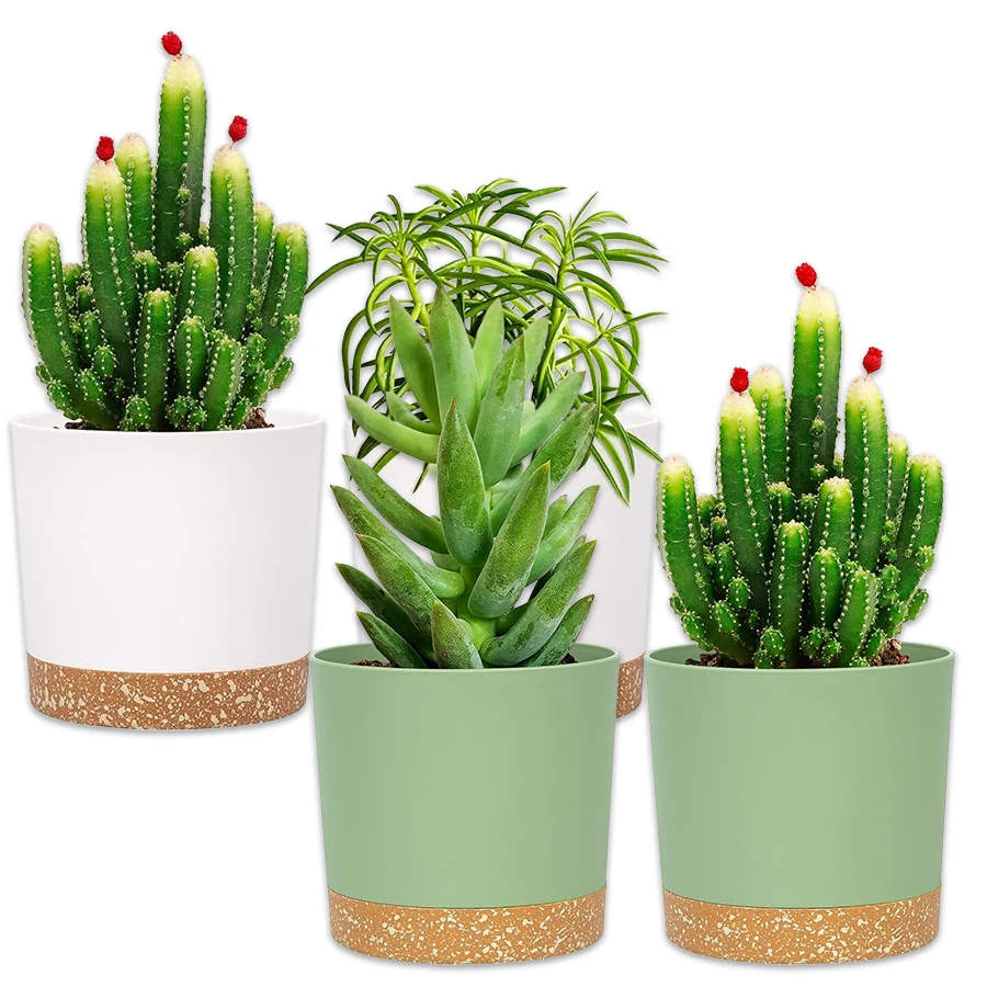 #25 Best Garden Pot Saucers & Trays to Buy In 2026