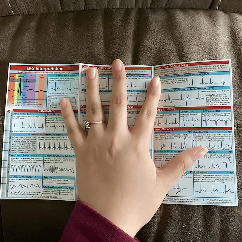 EKG إيقاع دليل الجيب خريطة جيب مخطط كهربية القلب الذاتي قياس البيض موصلات قياس الدقة أداة منزلية #4