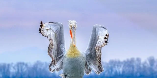 

Комплект из 4 шин для краулеров, увеличенные, 2.2 дюйма (136 мм), резиновые, для радиоуправляемых машин 1/8 Axial Yikong YK4083 CROSSRC Rhinoceros, запчасти для тюнинга