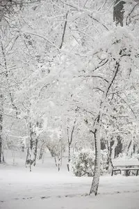 

Для Toyota Corolla 1979-2025 E110 E120 E130 E160 E210: Карандаш для ремонта краски, средство для удаления царапин, аксессуары для авто DIY, черный, белый