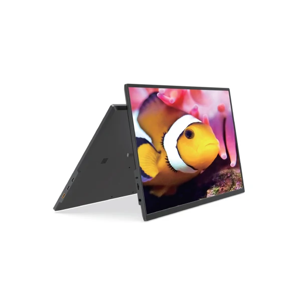 17.3 Inch Portable Monitor Equipped with 1080p 100 % SRGB Multifunctional Reversible Display with 16:9 Aspect Ratio