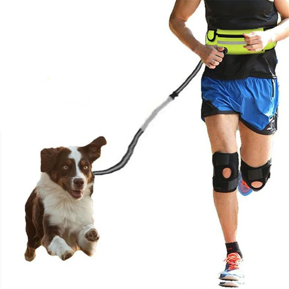 Sports Fanny Pack Pet Leash Cover Outdoor Running Suitable for Multi-scene Dog Walking