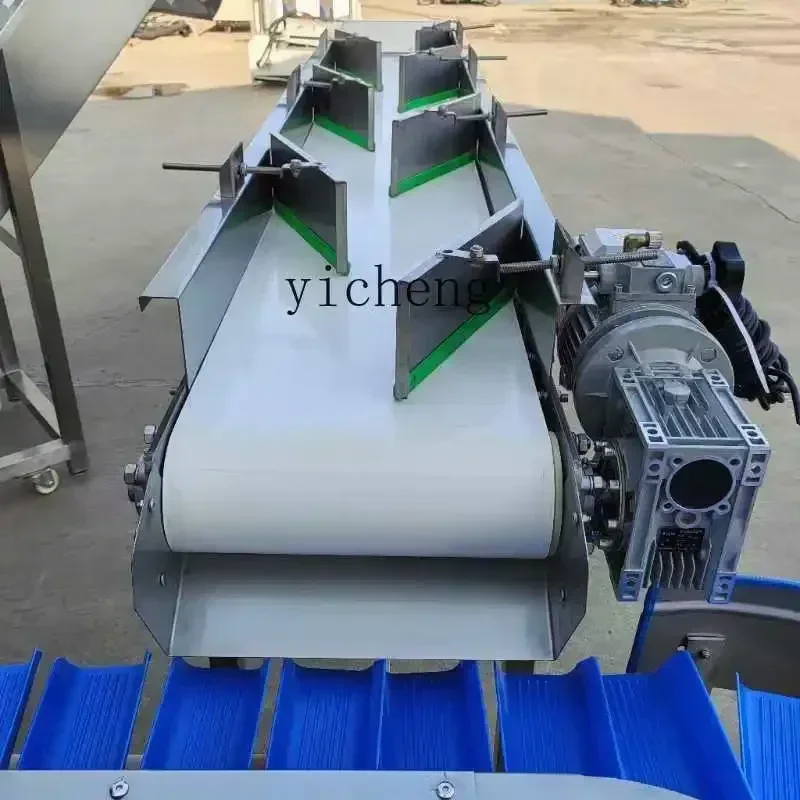 b11-7.1 automatic weight sorting machine crayfish oyster chicken feet sweet potato date palm weighing sorting machine