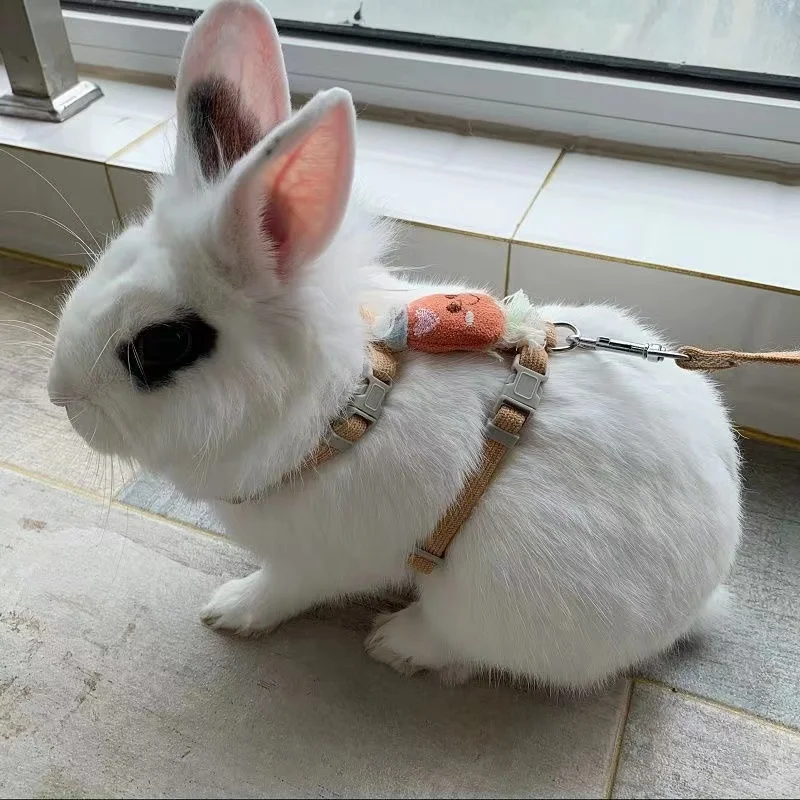 Rabbit Leash Outdoor Walking with Kitty Rabbit Cute Carrot Shape Harness Prevent Escape Adjustable Traction Rope Pet Accessories