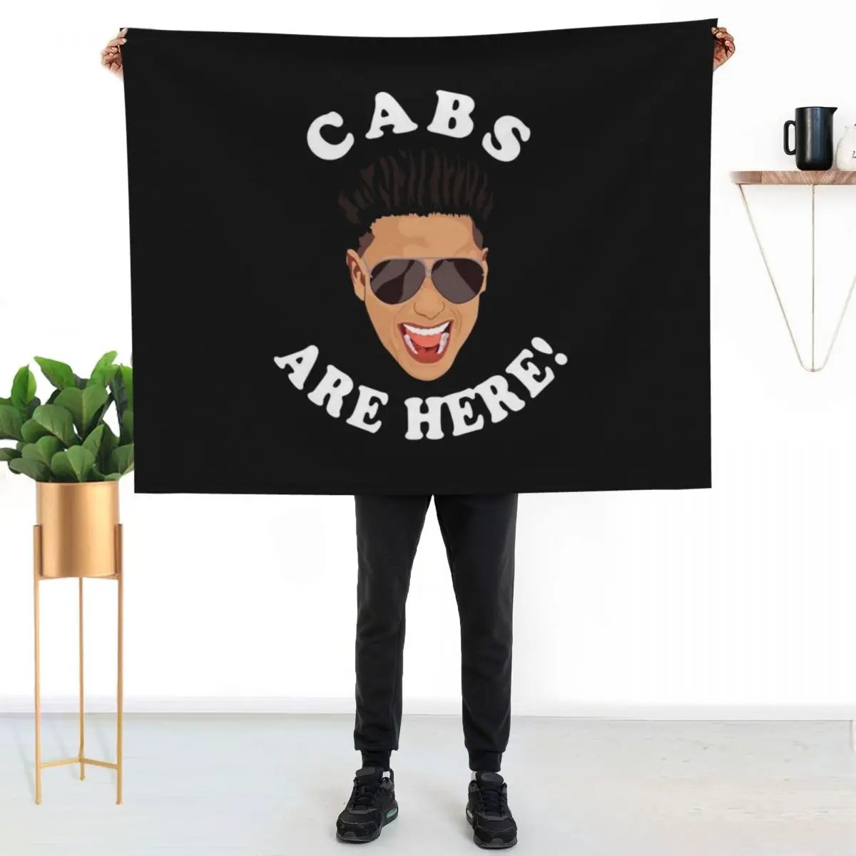 Dj Pauly D Cabs Are…