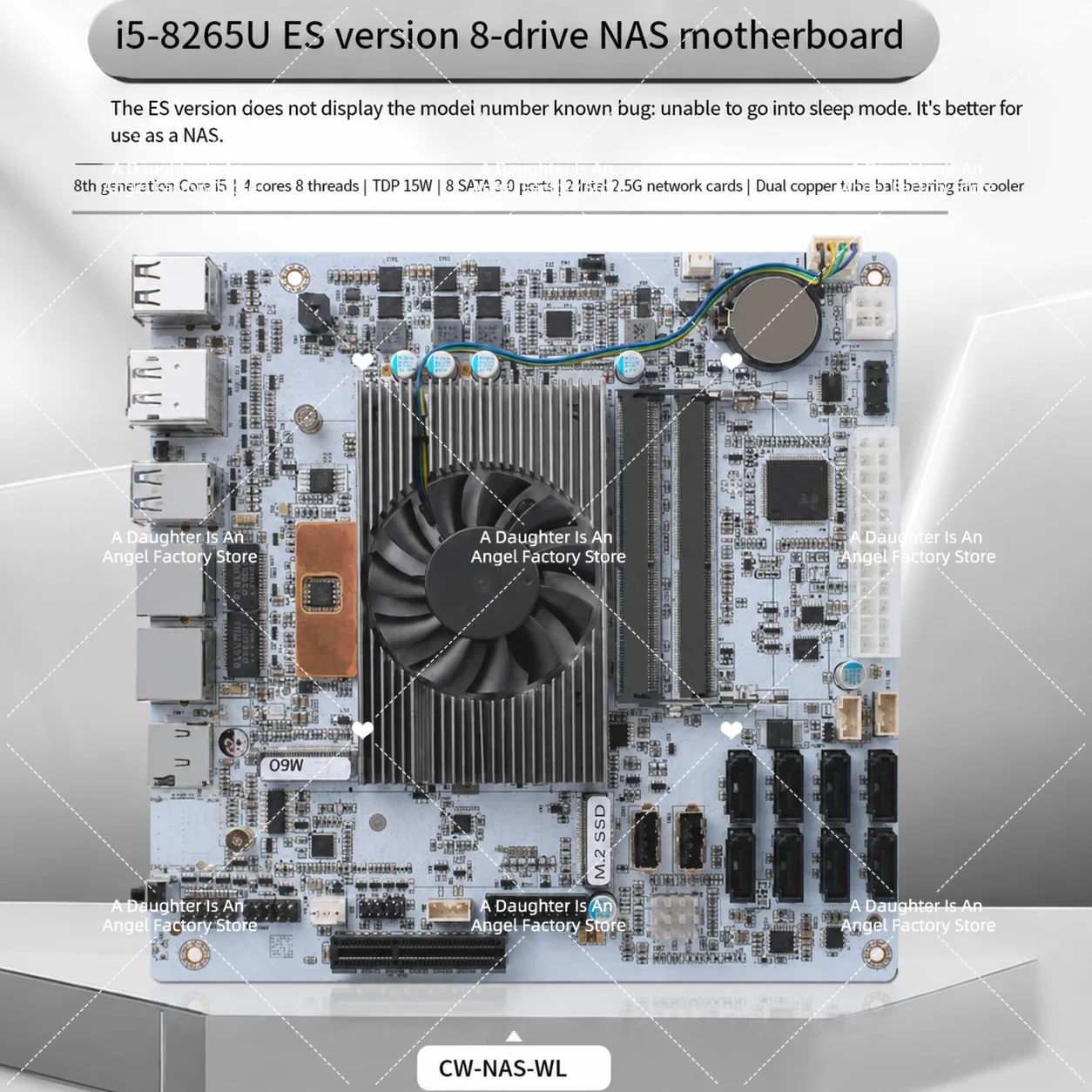 8SATA + Dual M.2 + Dual DDR，8 Disks - I5-8265UES Onboard