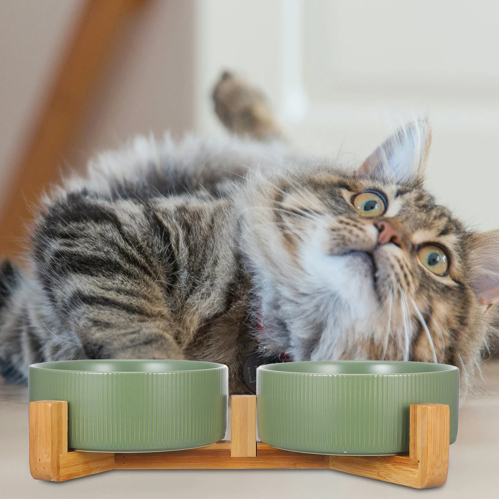 

1 set Wooden Stand Double Ceramic Bowls for Cats Dogs Pet Feeder with Smooth Round Edge Anti Tip Stable Holder Green Color