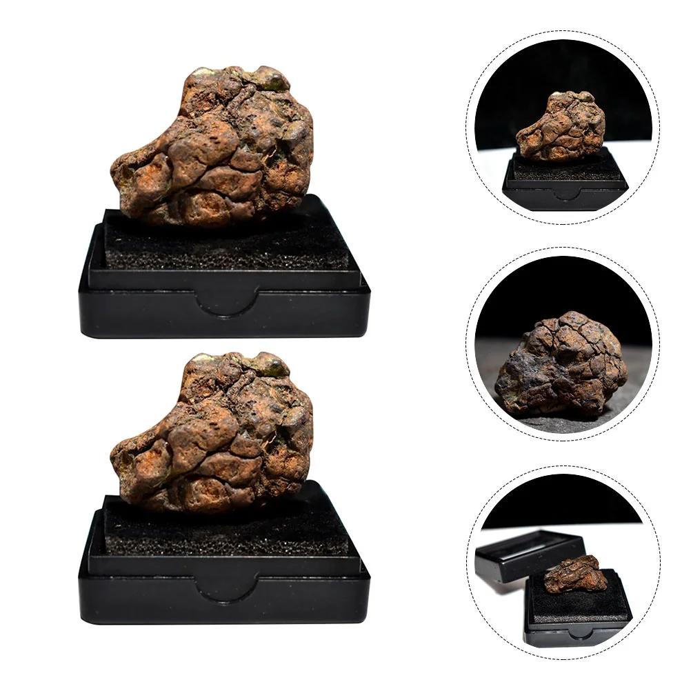 2 Pcs Olive Meteorite Lithosiderite Specimen Decoration Sample Teaching Model Table Adornment