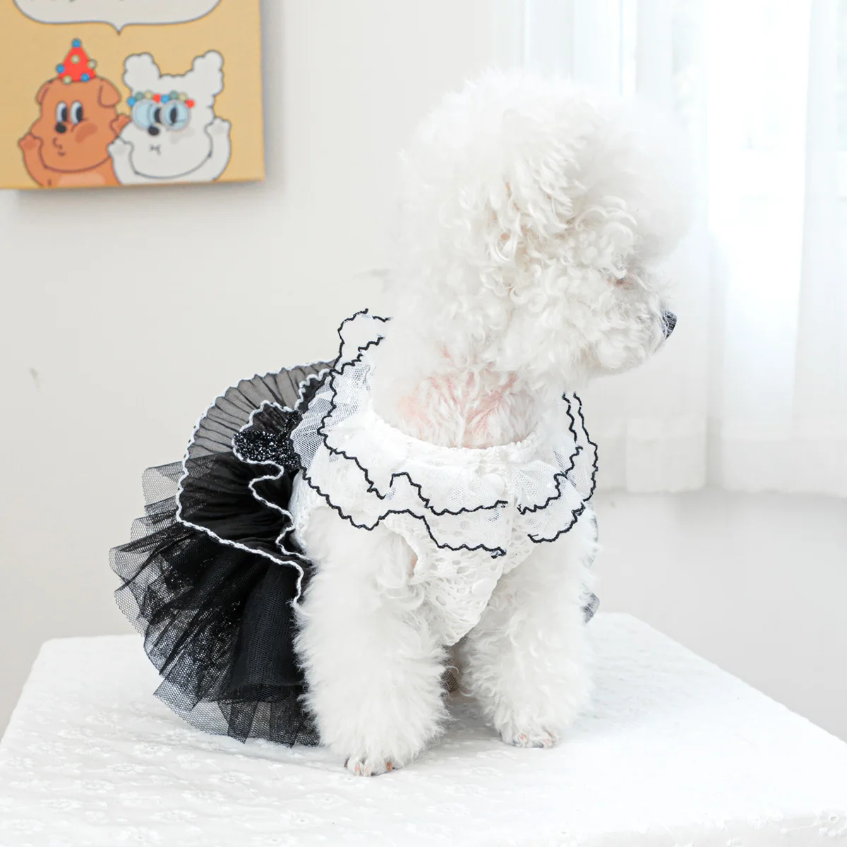 1PC Pet Clothes Spring and Autumn White Black # 19 Wedding Dress Princess Dress Suitable for Small and Medium sized Dogs