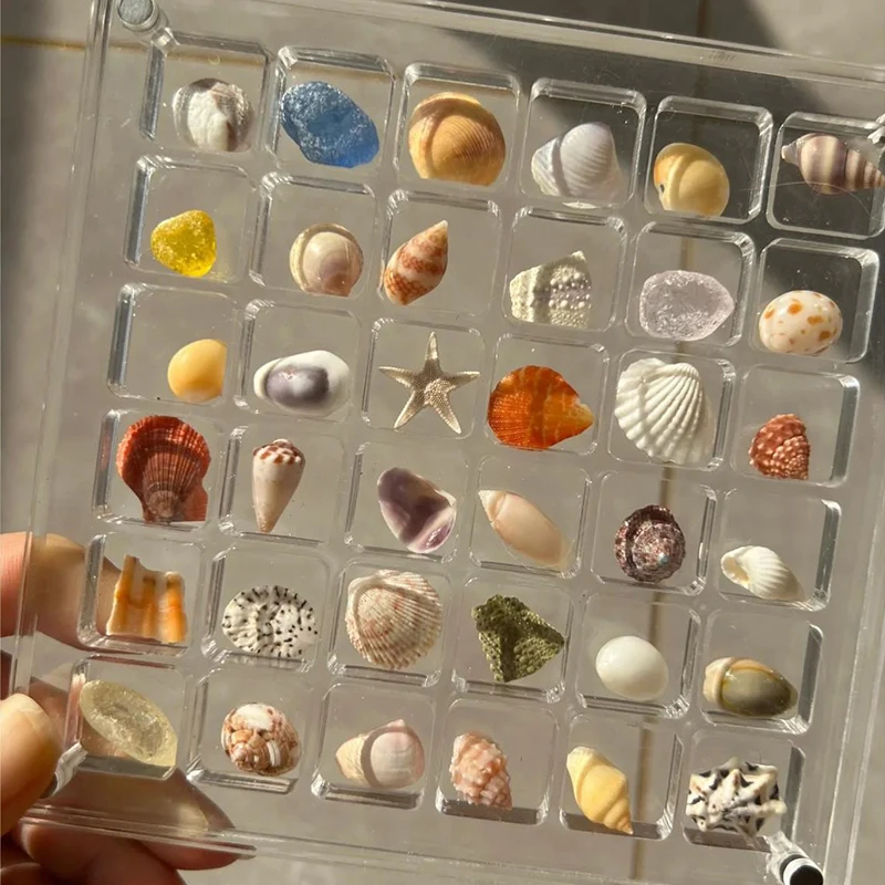 2X Acrylic Square Shell Storage Box Transparent Sea Shell Display Cabinet Magnetic Mini Beach Stone Gemstone Beads Storage Frame