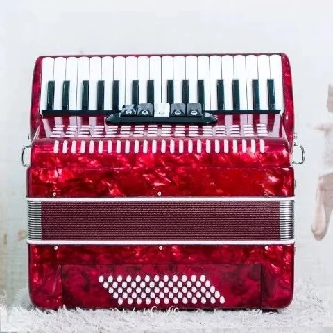 Adult keyboard accordion 60 bass 34 keys professional accordion