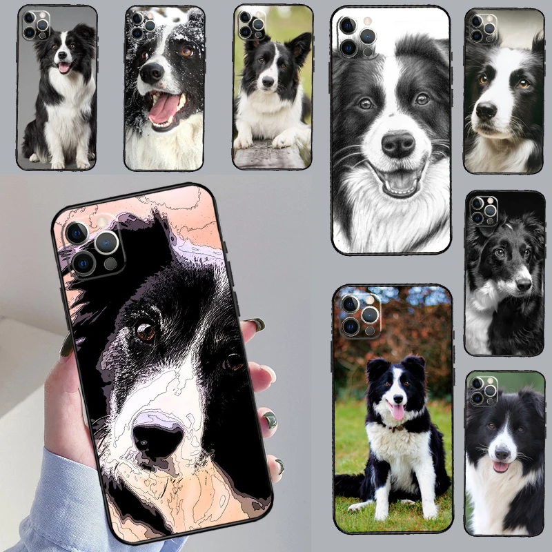 Border Collie Dog C… - image