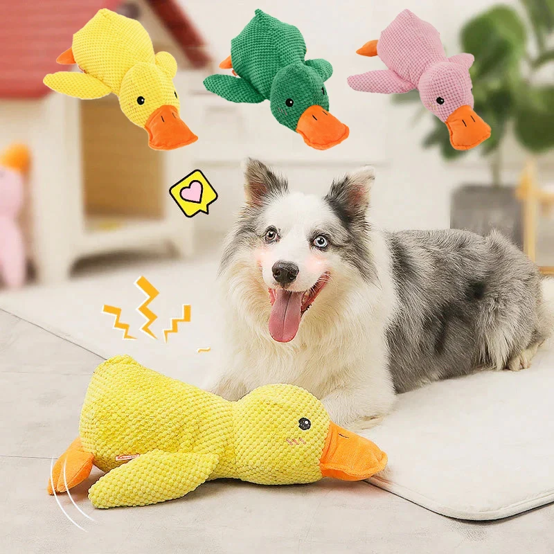 #55 Ranked Pet Toys Picks in 2026