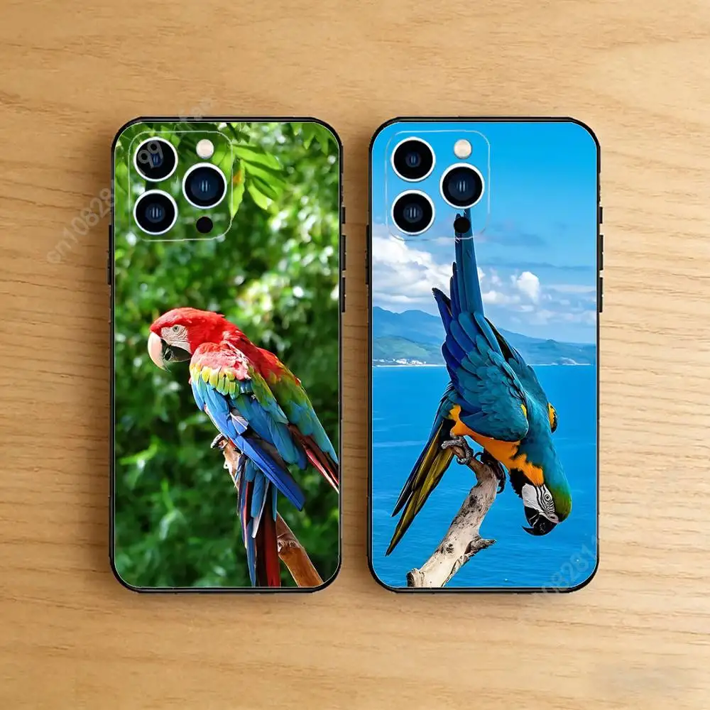 Rainbow Macaw Bird Phone Case for iPhone 17 16 Pro Plus Air 16E 15 14 13 12 11 Max Mini X XR XS Soft Silicone Cover