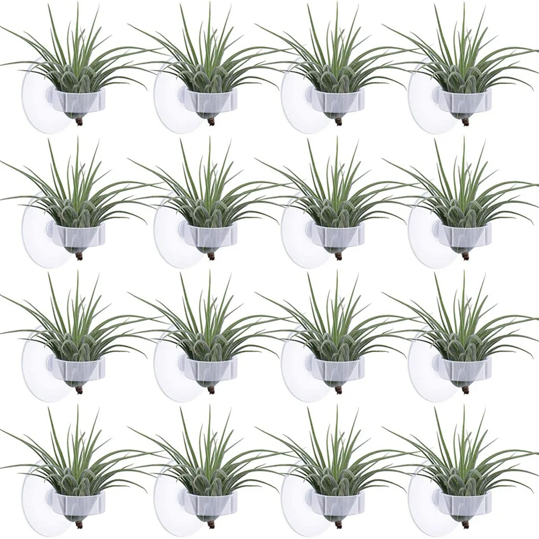 ABXF-36 Soporte para plantas de aire, soporte para plantas de Tillandsia con ventosa, para plantas colgantes en vidrio (plantas no incluidas)