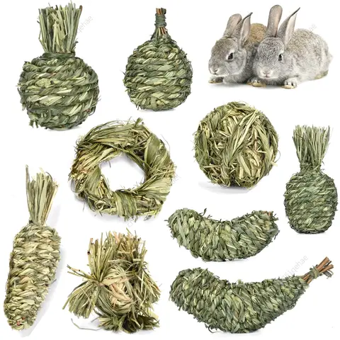 Ribbit Bunny 햄스터 기니피그 친칠라 치아 청소 Molar Grinding Toys Samll 애완 동물 용품을위한 작은 동물 씹는 장난감