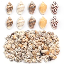 30g/lot Flower Snail Shell Beads Loose Spacer Beads DIY Jewelry Bracelet Pendant Phoen Key Bag Car Chain Accessories Wholesale