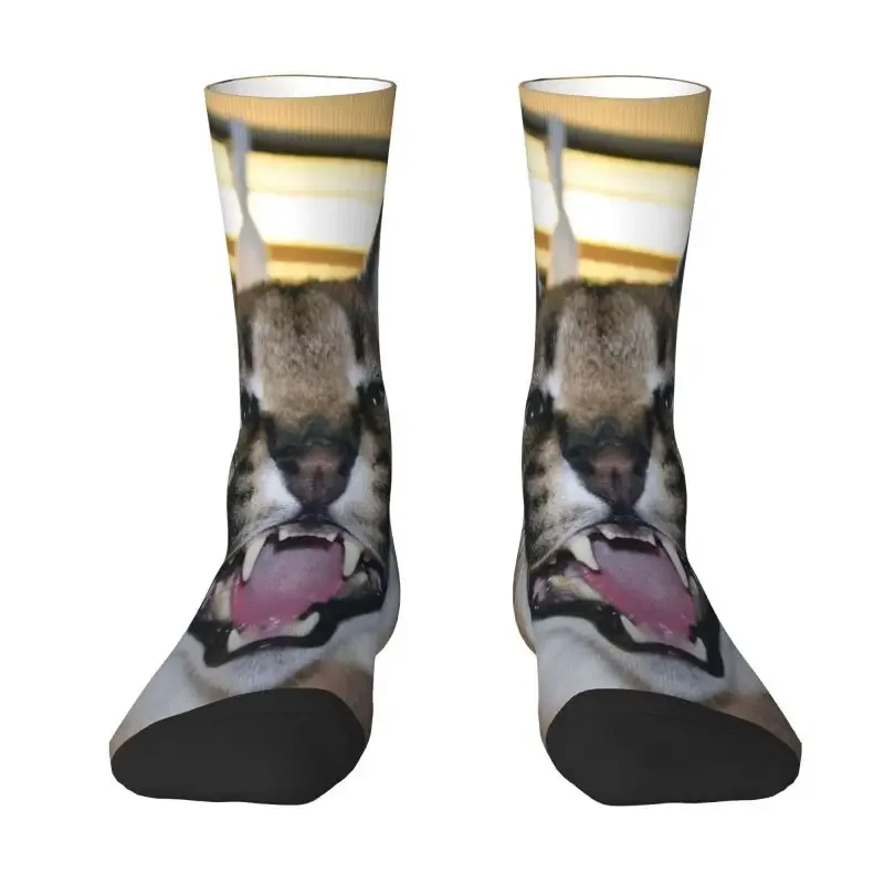 Big Floppa Caracal Cat Funny Meme Men Women Crew Socks Unisex Fashion 3D Printed Dress Socks