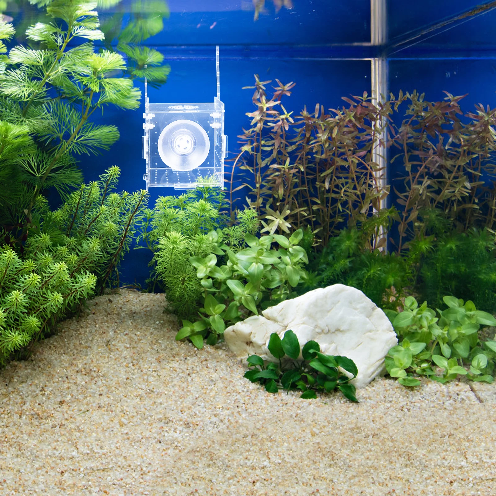 

Fish Tank Incubator Professional Breeder Box Transparent Acrylic Isolation Separator Cage Aquarium Baby Fish Protection