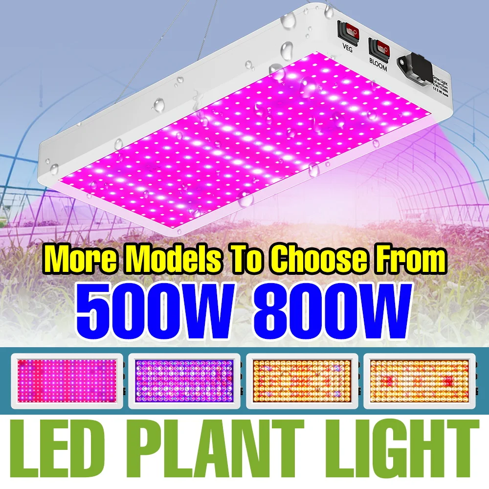 

800W Full Spectrum LED Grow Lights Indoor Quantum Board Plant Cultivation Lamp Greenhouse Tent Vegs Seedings Fruit Fill Lighting