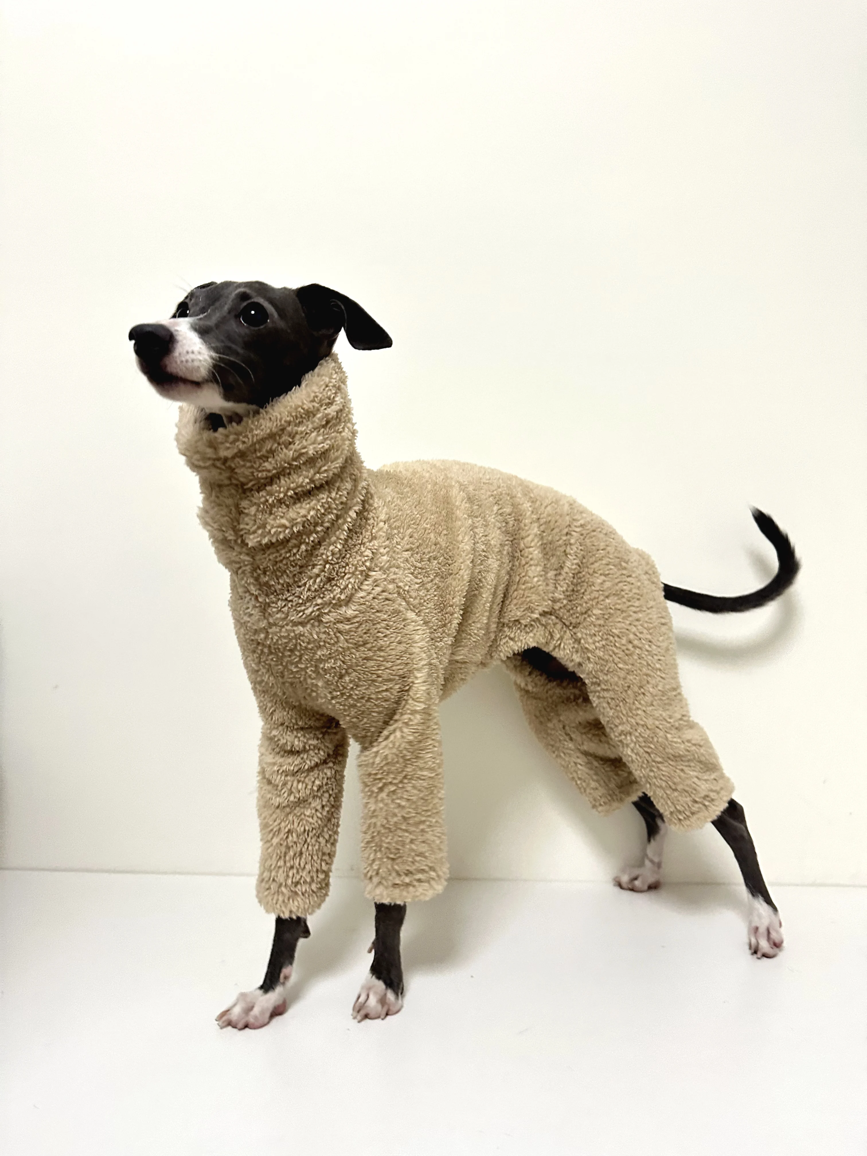 Winter Four-legged Italian Greyhound Dog Clothes Double Side Whippet High Collar Brown Jumpsuit for Small Media Large Dogs