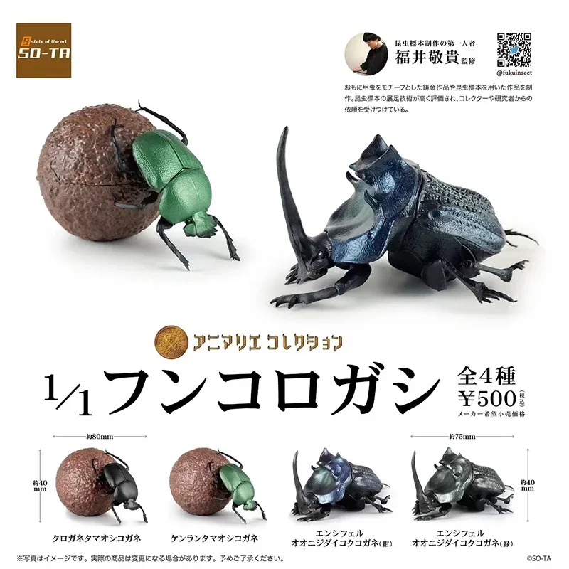 SO-TA Gashapon Capsule Toys Insect Creature Kawaii 1/1 Dung Beetle Scarab Model Ornaments Cute Action Figure Gift