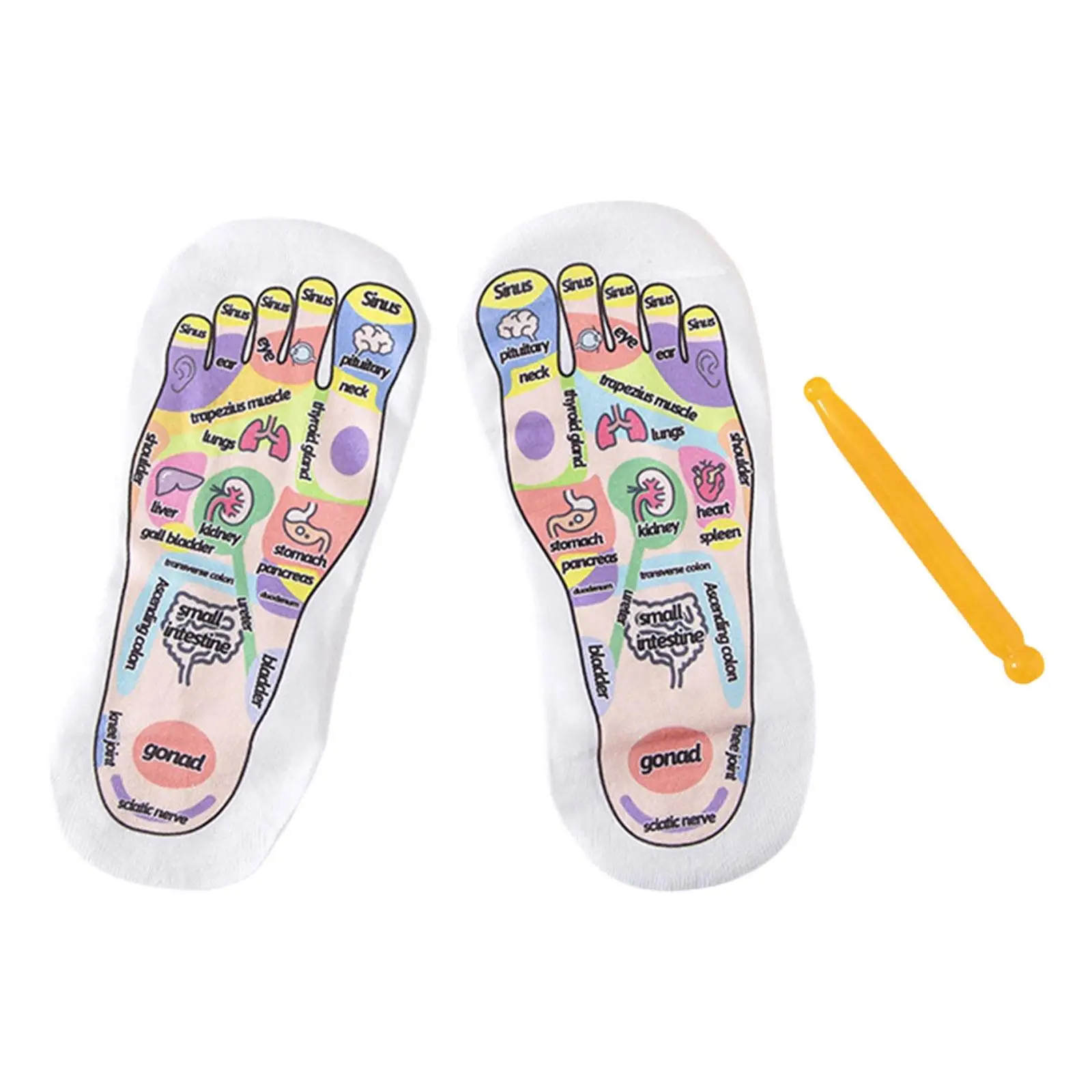 Foot Massage Socks Massage Care Breathable Accessories Casual Reflexology Socks with Point Pen for Household Massage Parlor