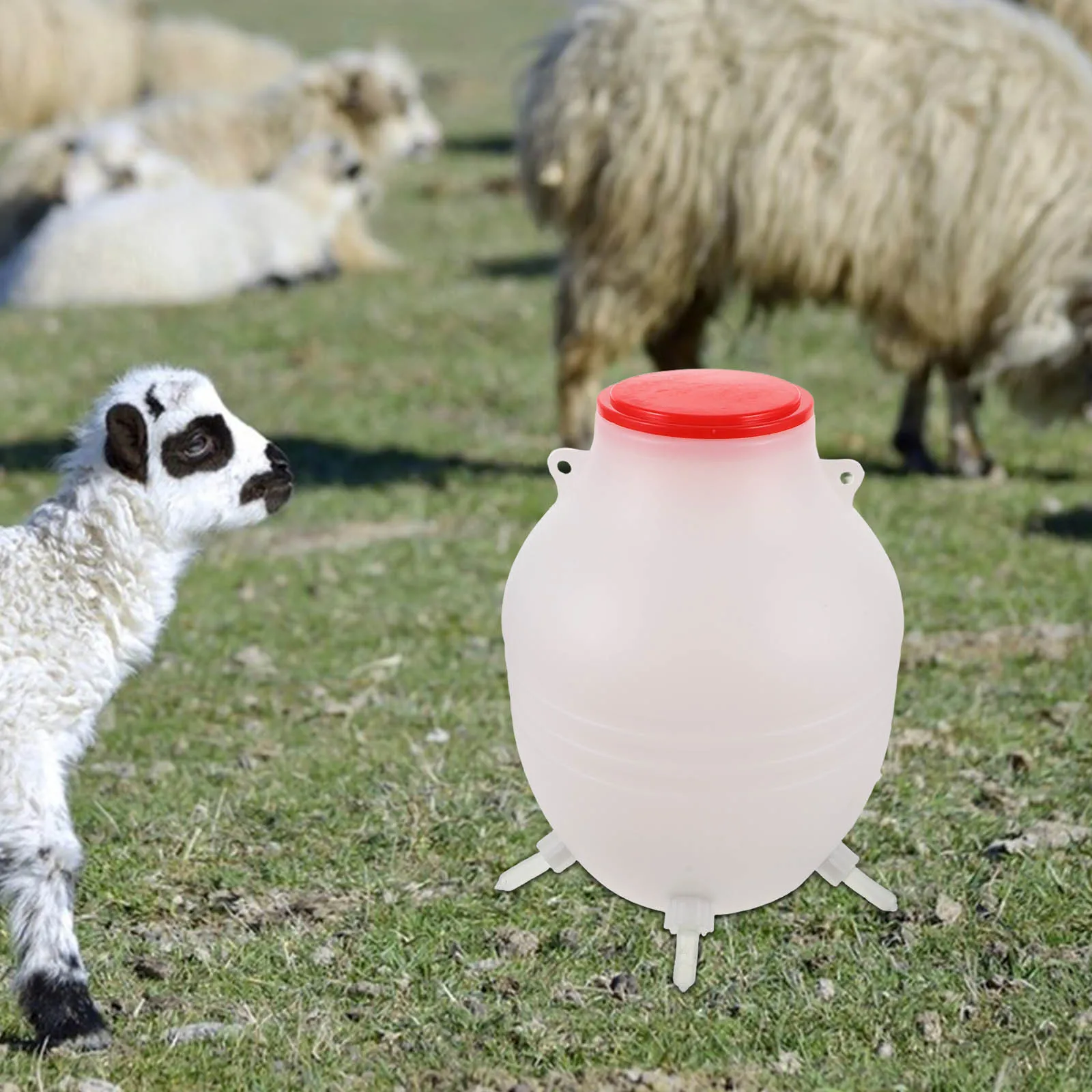

Lamb Feeding Bottle Animal Milk Feeder Soft Nipple Goat Sheep Feeding Kit Lamb Nursing Bottle Animal Feeder