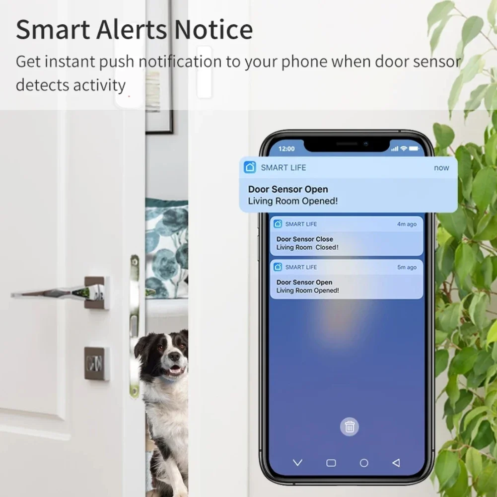 Tuya WiFi ZigBee Door Window Security-Protection Door sensore aperto/chiuso Smart Life Detector Control tramite Alexa Google Home