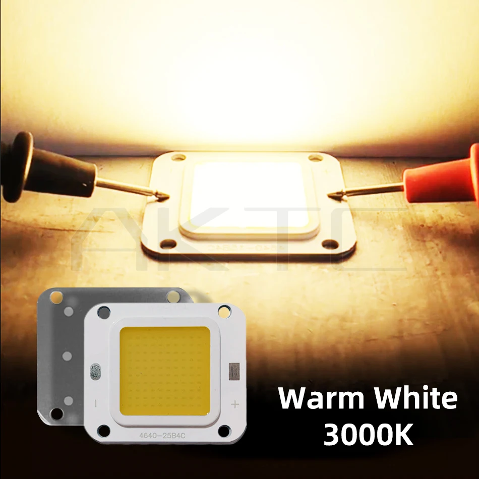 High Power 50W LED Chip COB Lights DC 12V Battery Available Warm White 3000K White 6000K Single Color Low Voltage Lighting Lamp