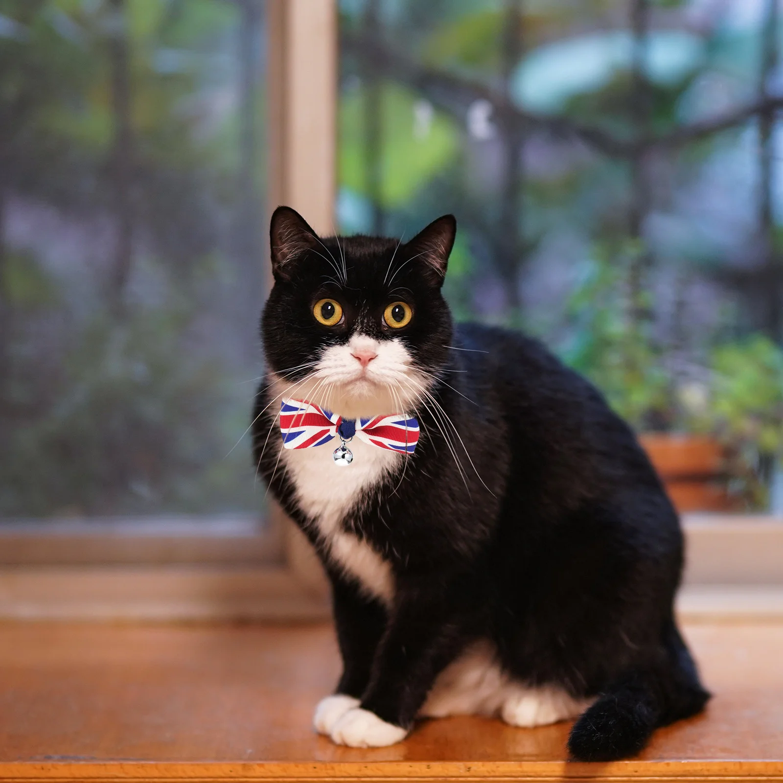 

2Pcs Adjustable Pet Neck Collar Decorative Puppy Kitten Collars Bow Tie Stylish Lightweight Dog Cat Party Costume Accessories