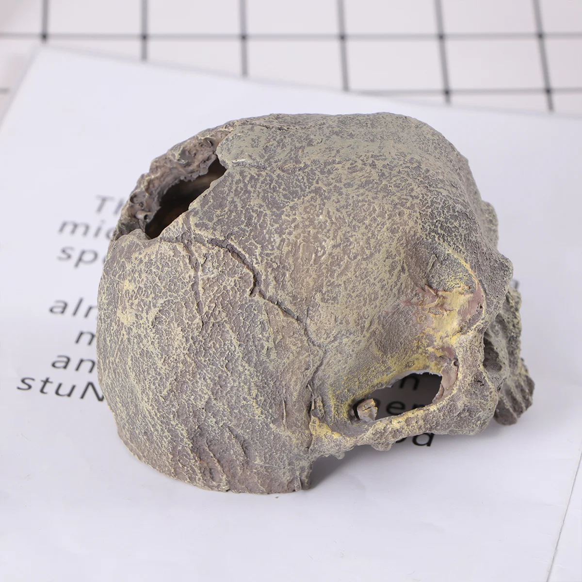 

Safe Odorless Human Skull Aquarium Ornament High Quality Resin Funny Creative Decor for Home Fish Tank Reptile Shelter