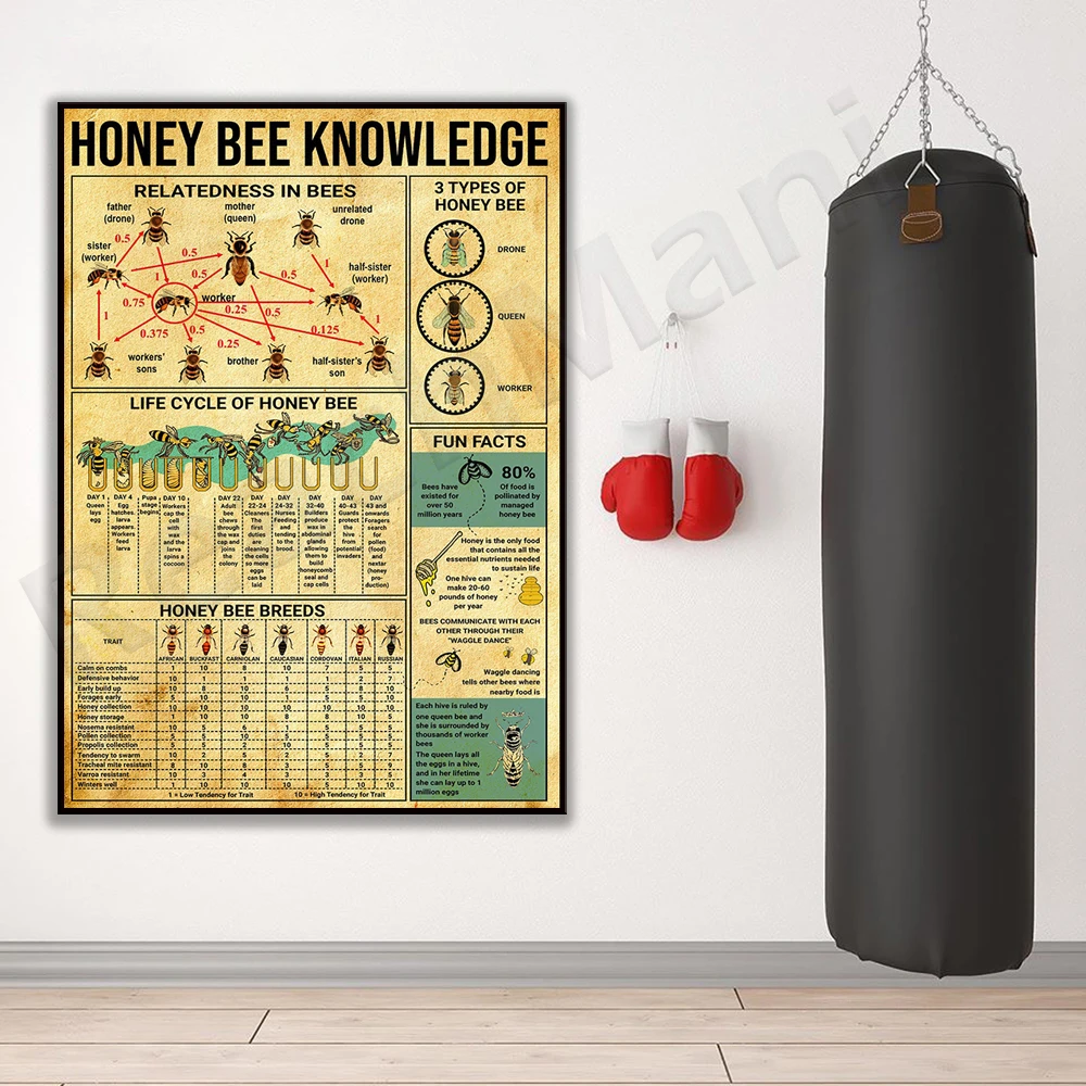 Bee Knowledge Poster Vintage Abstract Wall Art Canvas Painting Print Living Room Decor Wall Picture