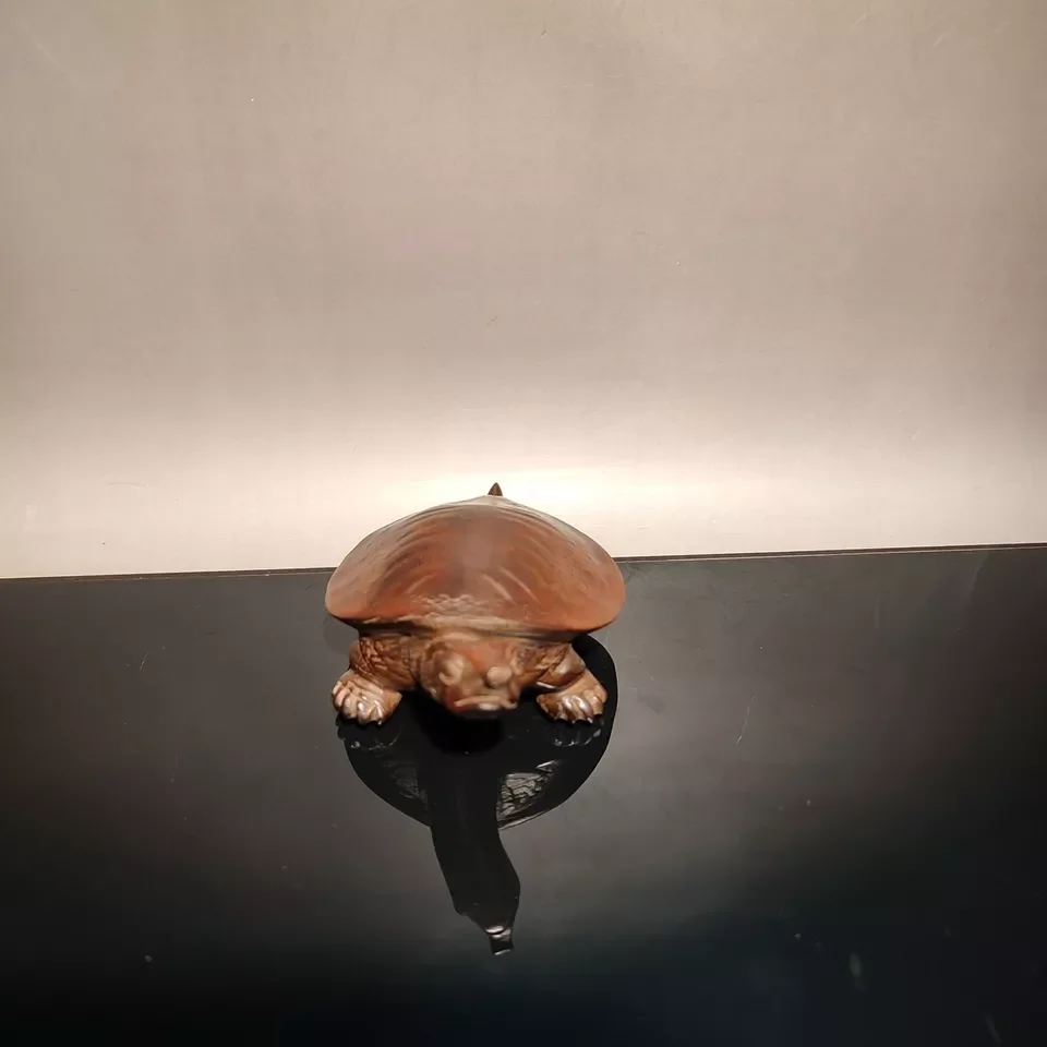 wooden Carved wood carving longevity Turtle statue Home decoration decor
