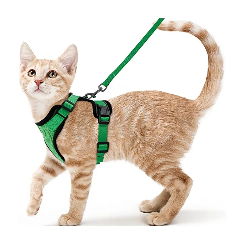 Katzengeschirr und Leine zum Spazierengehen, auslaufsichere, weiche, verstellbare Weste, Geschirre für Katzen, EasyControl