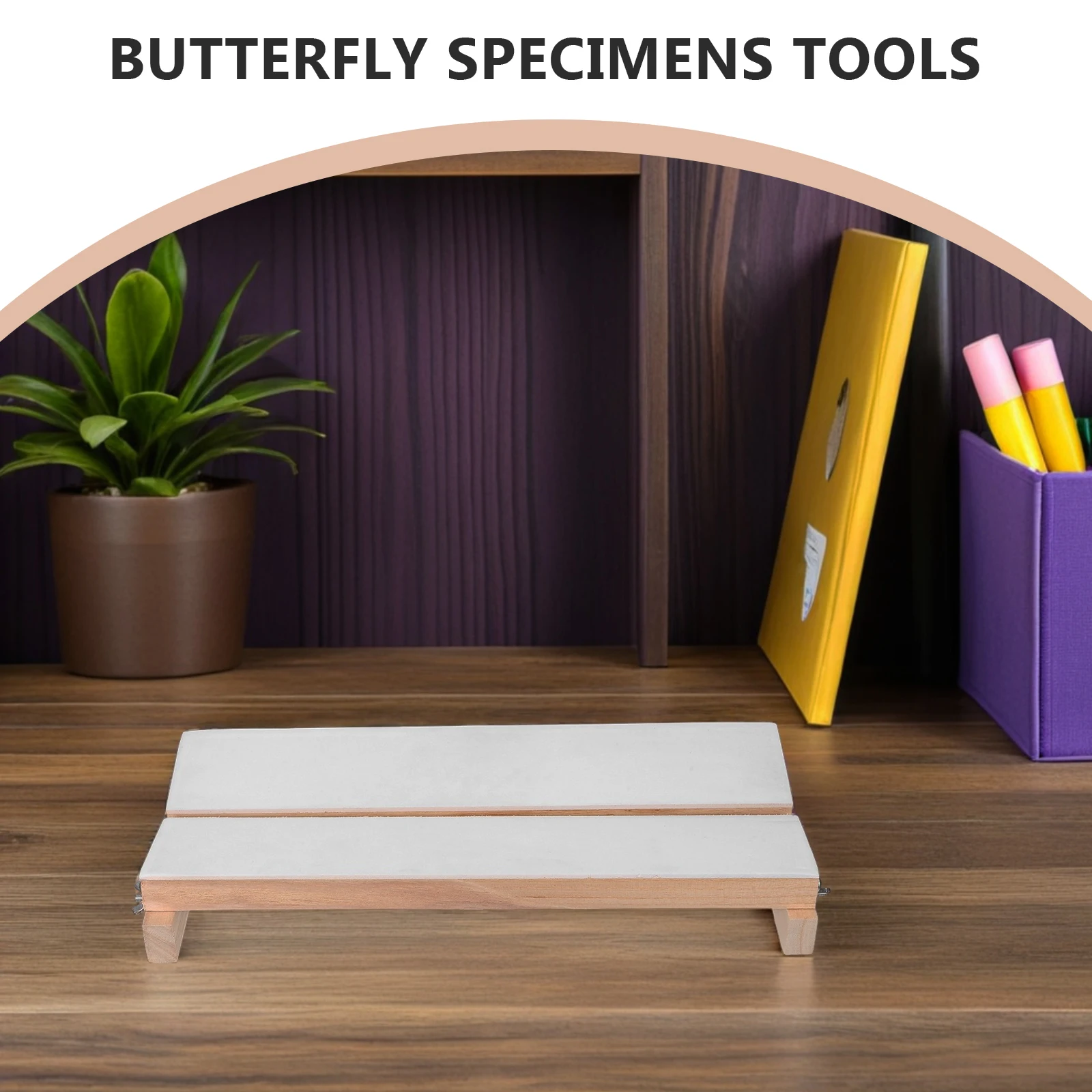 

Adjustable Butterflies Mounting Spreading Specimen Display Tool Science Education Lightweight Portable Wooden Insects