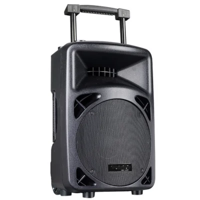 12inch Professional Portable Active Speaker 300w Bluetooth Player 8-channel Input