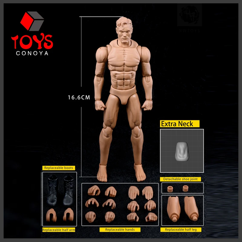 NwToys 1/12 Scale NW002 Anime Male Medium Muscle Joint Body Super Flexible 16.6cm Action Figure Doll Painting Practice