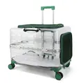 Transparent green