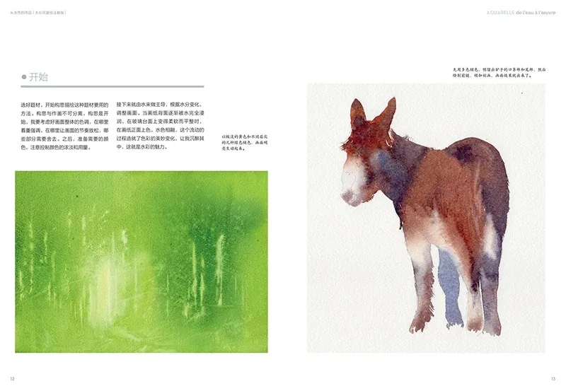 Eisen Living Aquarela Zero Base, Zero Base, Tutorial Aquarela da cor da água para o trabalho