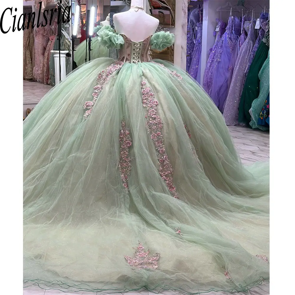 Sage Green Illusion Beading Crystal Ball Gown Quinceanera Dresses Off The Shoulder Pink Appliques Corset Vestido De 15 Anos