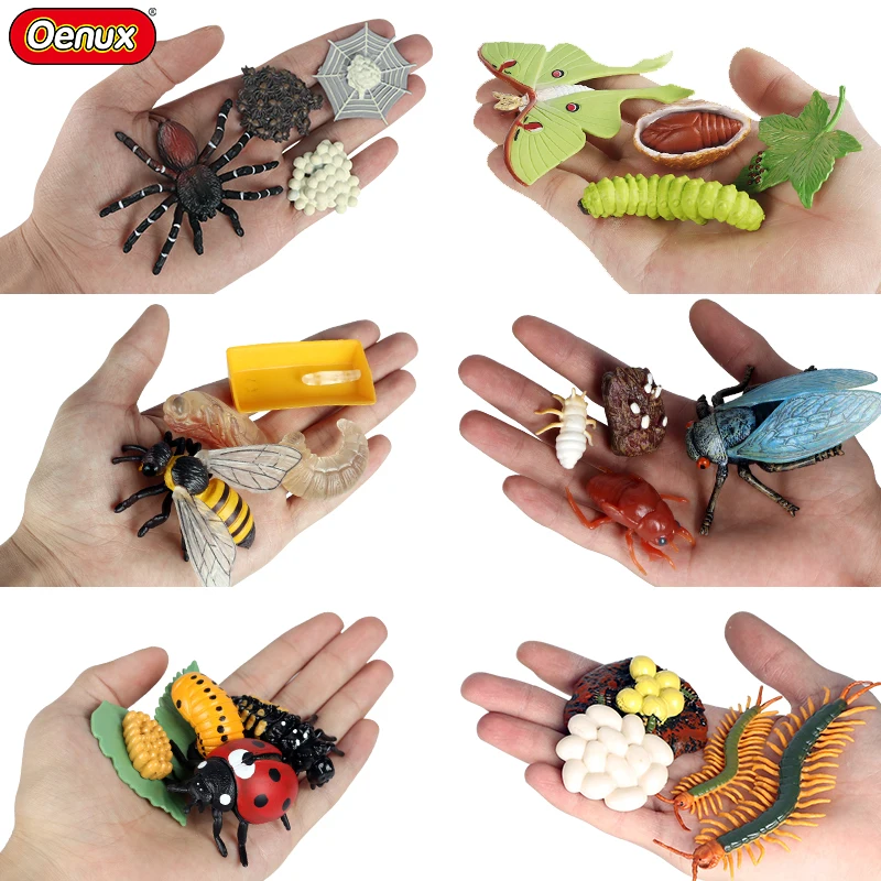 Oenux Simulation Luna Moth Salmon Butterfly Ants Life Growth Cycle Animals Model Action Figures Educational Miniature Kids Toy