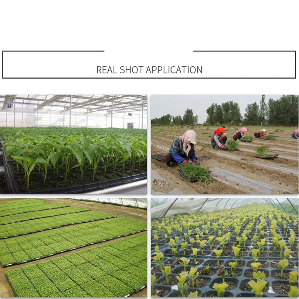 

2 Pcs Sprouters Growing Trays Indoor Plant Seedling Nursery Plates 50 Holes High Budding Rate Hollow Design Quality Plastic Wear