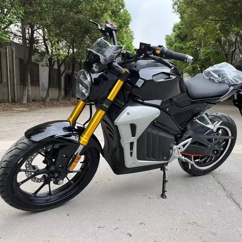 

New Arrival High Quality 17 Inch V8 Racing Electric Motorcycle 2000W 3000W Hub Motor Colorful Two-Wheel Scooter for Adults