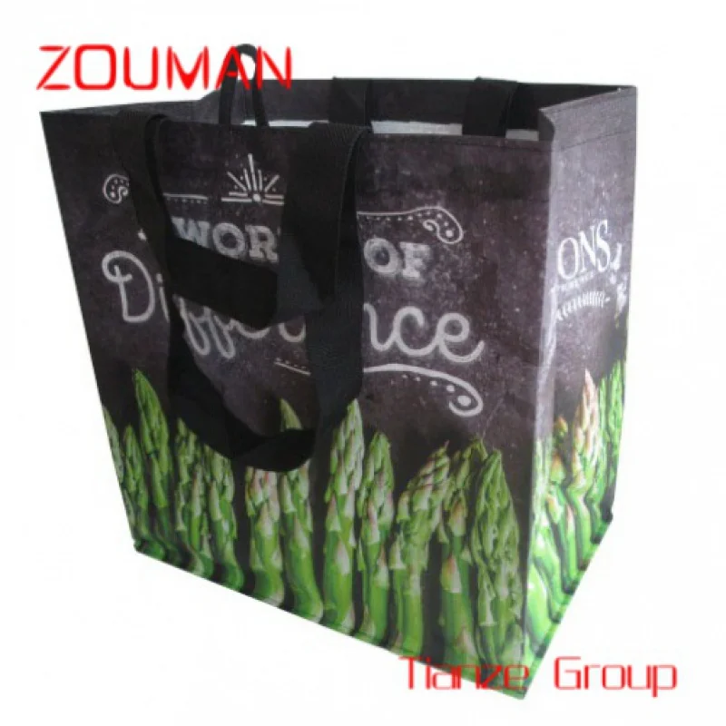 Custom , KD0805-05 Vietnam PP Woven With Loop, Double Handles- Veggies Printed Reusable Customize Logo Shopping Bag